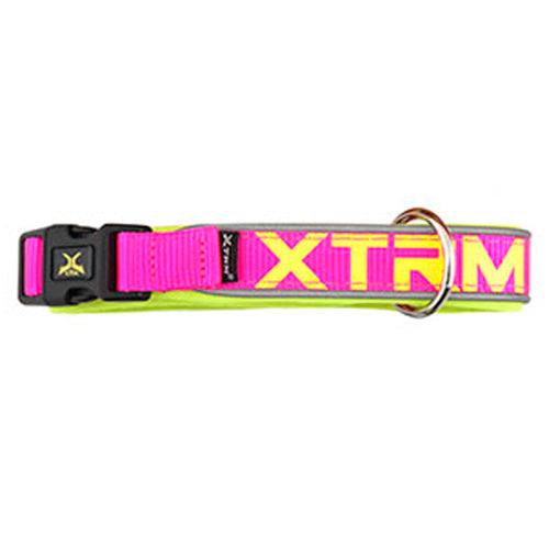 Collar Perro XTRM Colores