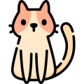 gato gato